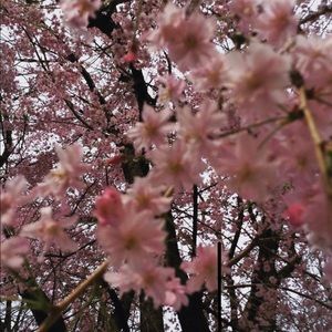 Meet your Posher, Jonah